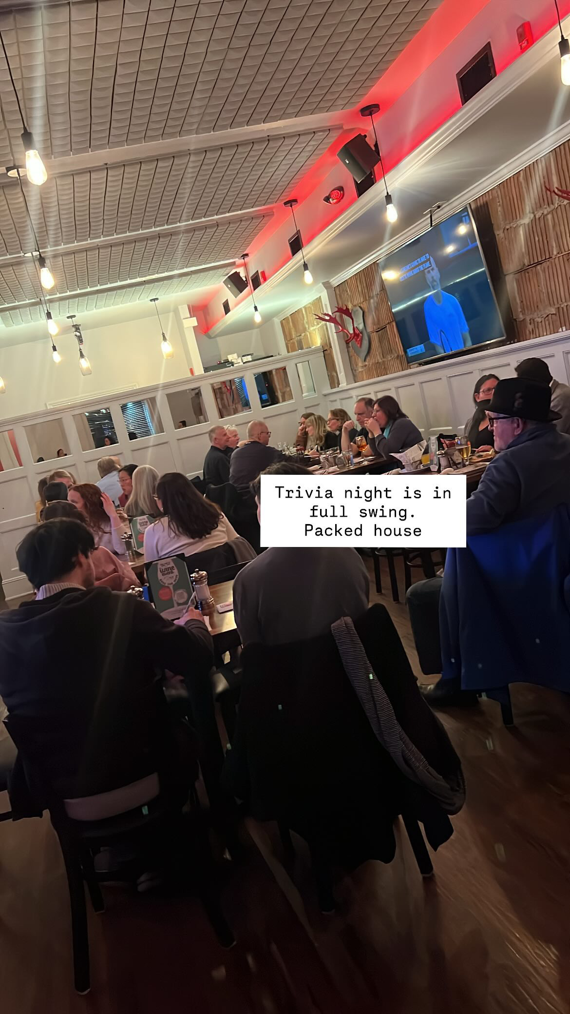 Trivia Night Draws Crowd, Raises Nearly $500 for Library